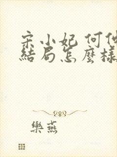 宋小妃 何仲康结局怎么样