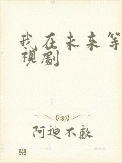我在未来等你电视剧