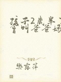 孩子2岁半了只会叫爸爸妈妈