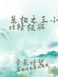 万相之王小说txt精校版