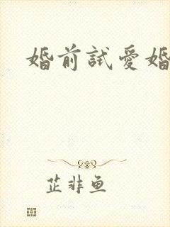 婚前试爱婚姻 婚前试爱婚姻