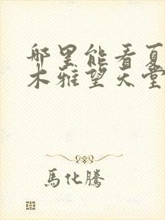 哪里能看夏有乔木雅望天堂