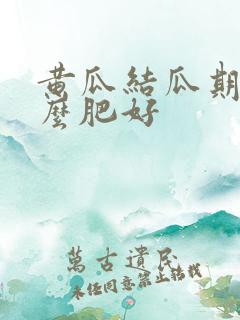 黄瓜结瓜期追什么肥好