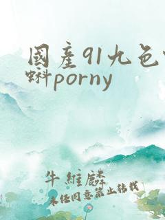 国产91九色蝌蚪porny