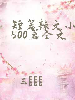 短篇辣文小说集500篇全文