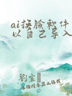 ai换脸软件可以自己导入视频的软件