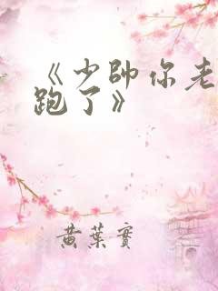 《少帅你老婆又跑了》