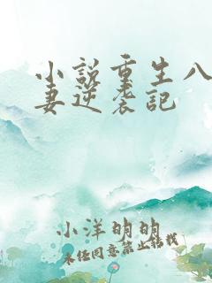 小说重生八零肥妻逆袭记