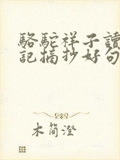 骆驼祥子读书笔记摘抄好句及感悟