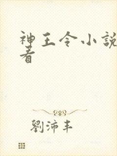 神王令小说免费看