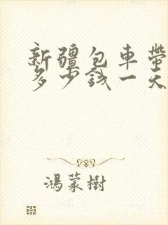 新疆包车带司机多少钱一天?