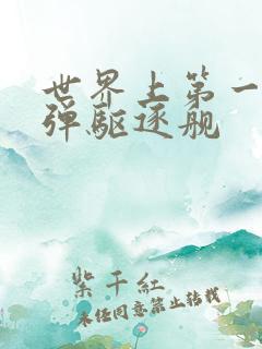 世界上第一艘导弹驱逐舰 世界上第一艘导弹驱逐舰