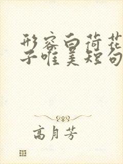 形容白荷花的句子唯美短句