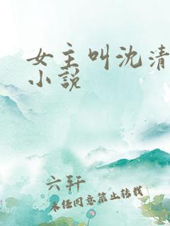 女主叫沈清禾的小说