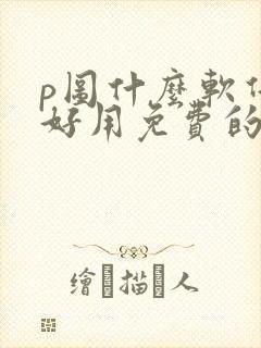 p图什么软件最好用免费的