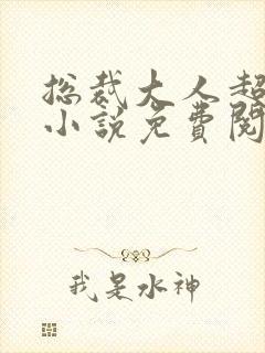 总裁大人超给力小说免费阅读全文