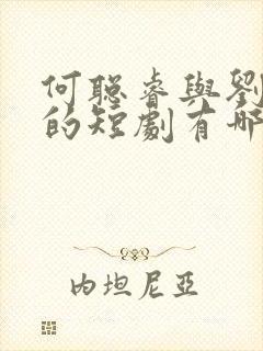 何聪睿与刘念演的短剧有哪些 何聪睿与刘念演的短剧有哪些
