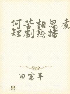 何苦相思煮余年短剧热播