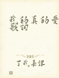 我的真的爱上你歌词