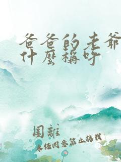 爸爸的老爷爷叫什么称呼