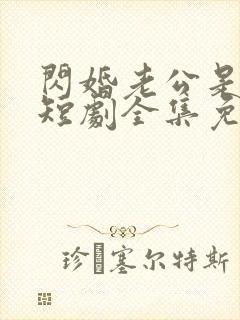 闪婚老公是总裁短剧全集免费播放