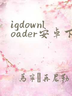 igdownloader安卓下载 igdownloader安卓下载