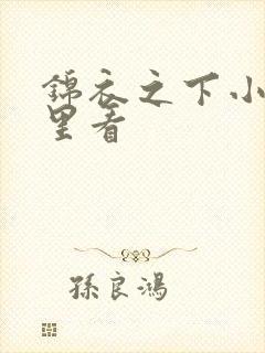 锦衣之下小说哪里看