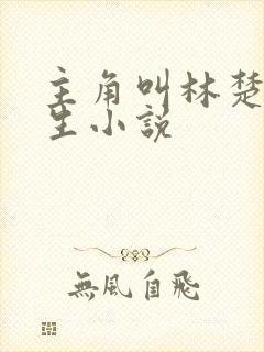 主角叫林楚的重生小说