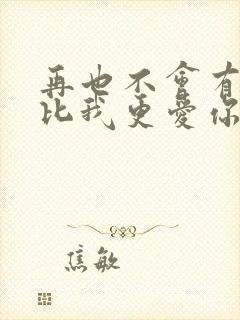 再也不会有人会比我更爱你歌词