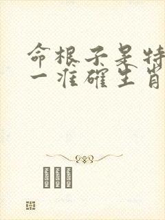命根子是特马打一准确生肖