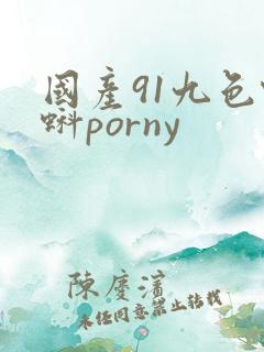 国产91九色蝌蚪porny