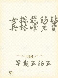 女总裁的贴身强兵林峰免费