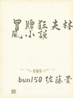 冒牌狂夫林悦顾风小说