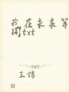 我在未来等你刘同txt