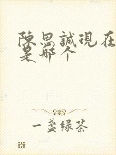 陈思诚现在老婆是哪个