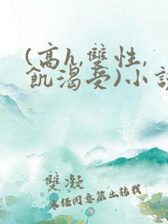 (高h,双性,饥渴受)小说