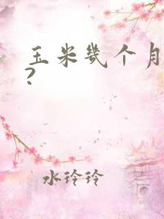 玉米几个月成熟?