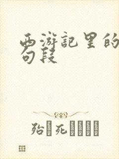 西游记里的精彩句段