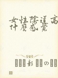 女性阴道高潮是什么感觉
