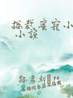 总裁蜜宠小甜妻 小说