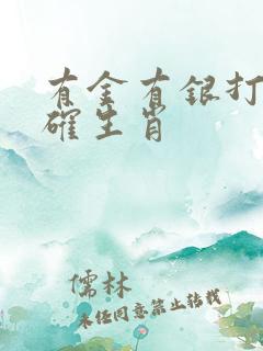 有金有银打一准确生肖