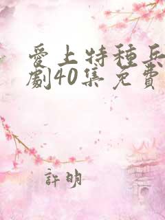 爱上特种兵电视剧40集免费观看全集