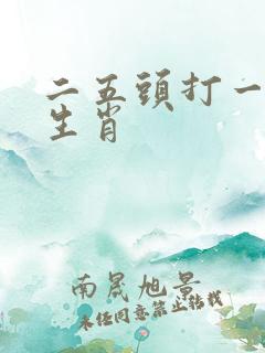 二五头打一准确生肖