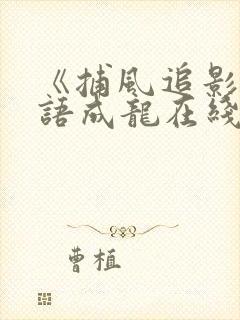《捕风追影》国语成龙在线观看