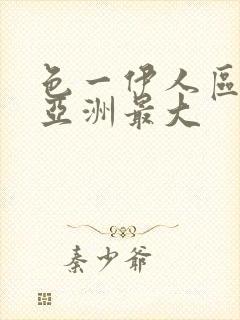 色一伊人区二区亚洲最大