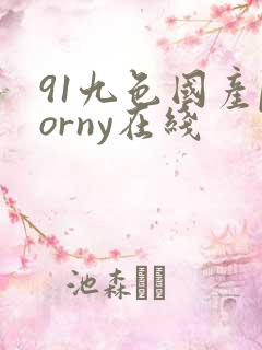 91九色国产porny在线