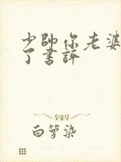 少帅你老婆又跑了书评