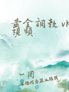 黄金调教 vk视频