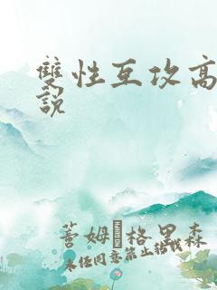 双性互攻高h小说 双性互攻高h小说