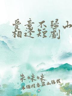 爱意不归山水不相逢短剧